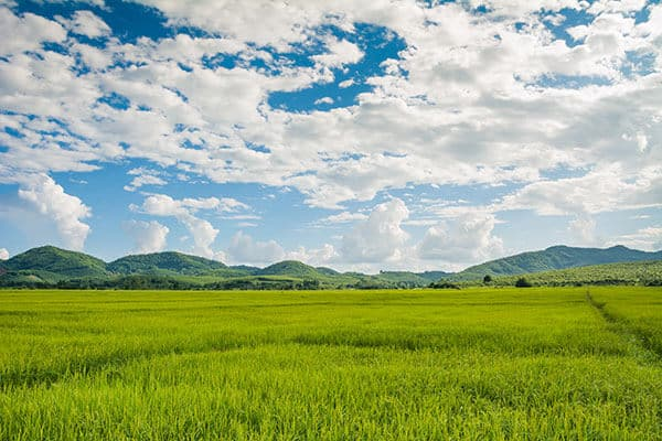 land investment strategies